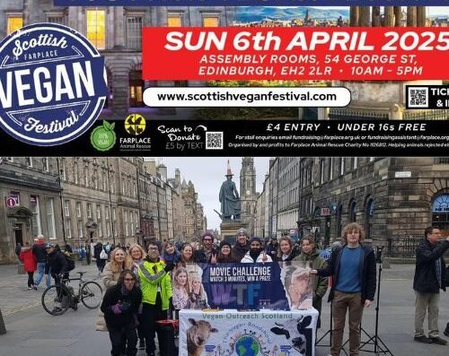 scottish vegan festival